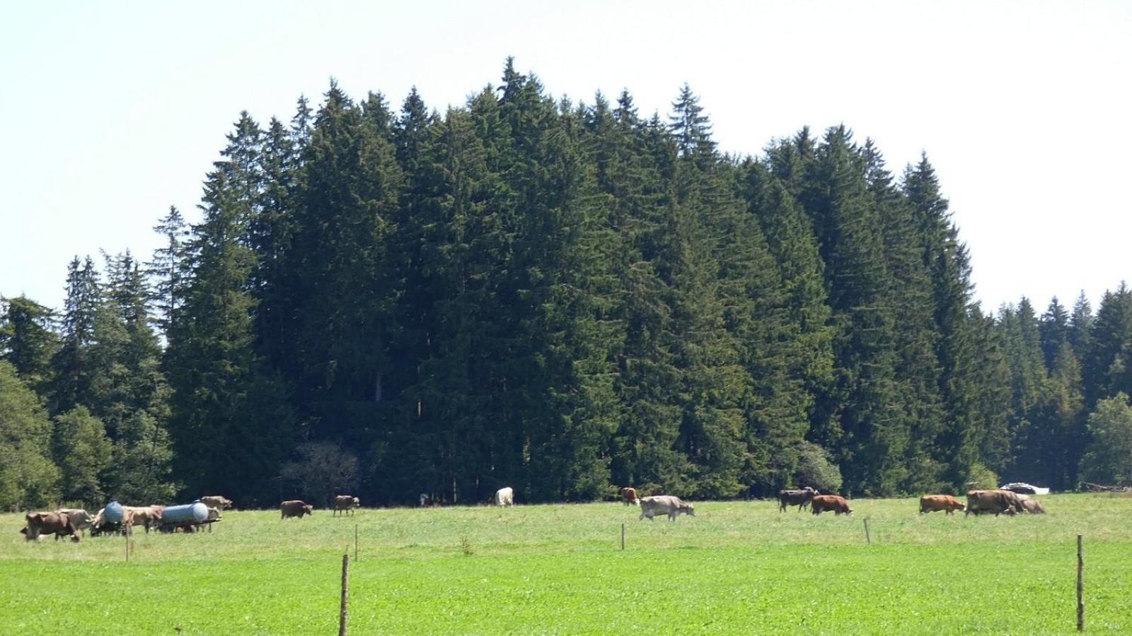 Ferienwohnung Nr 5, Lechbruck-Gruendl, Allgaeu Prem Luaran gambar